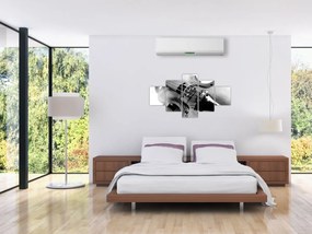 Obraz - Skrzypce (125x70 cm)