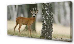 Zdjęcie na płótnie Jeleń w Leśnej Gęstwinie