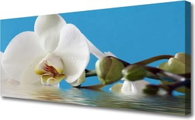 Duży obraz na płótnie Botaniczny Portret Kwiatu