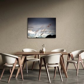 Obraz - Kwiaty polne nad jeziorem (70x50 cm)