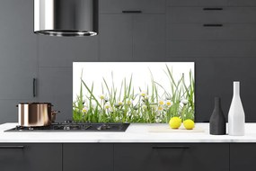 Panel Kuchenny Polana Pełna Stokrotek