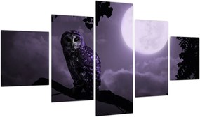 Obraz - Nocna sowa, fioletowy (125x70 cm)