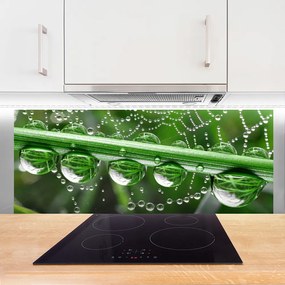 Panel nad blat kuchenny Perlista Pajęczyna W Rosie