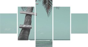 Obraz - Palma na Karaibach (125x70 cm)
