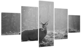 Obraz - Jeleń w lesie, czarno - biały (125x70 cm)
