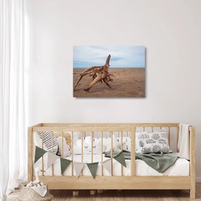 Obraz na szkle - Zmyte przez morze (70x50 cm)
