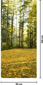 Fototapeta na drzwi - Las jesienią (95x205cm)