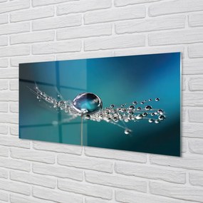 Panel nad Blat Kuchenny Dmuchawiec w Makrofotografii