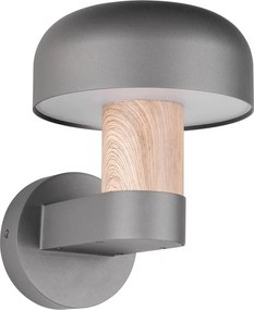 Zewnętrzna lampa ścienna (wysokość 24,5 cm) Fraser – Trio