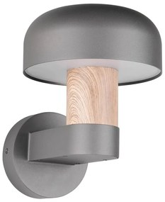 Zewnętrzna lampa ścienna (wysokość 24,5 cm) Fraser – Trio