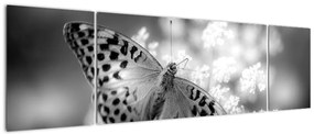 Obraz - Szczegół motyla zapylającego kwiat (170x50 cm)