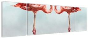 Obraz dwóch flamingów (170x50 cm)