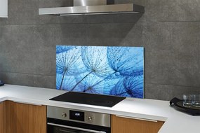 Panel szklany do Kuchni Puszyste Dmuchawce z Rosą