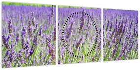 Obraz pola z lawendą (z zegarem) (90x30 cm)