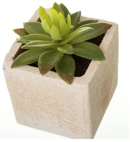 Sztuczne rośliny zestaw 6 szt. (wysokość 9,5 cm) Cactus – Casa Selección
