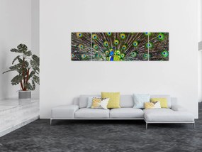 Obraz - Paw (170x50 cm)