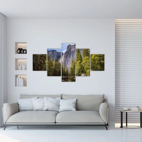Obraz - Pod Yosemite Rock (125x70 cm)