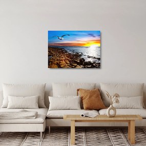 Obraz na szkle - Mewa lecąca nad wybrzeżem (70x50 cm)