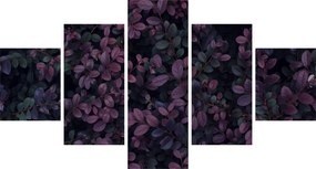 Obraz ciemnoczerwonych liści (125x70 cm)