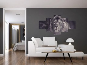 Obraz lwa (125x70 cm)