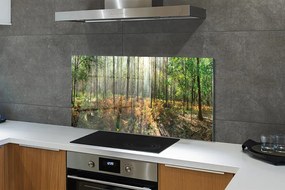 Panel szklany do Kuchni Klasyczny Las Brzozowy