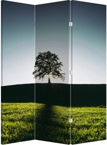 Parawan - Drzewo (126x170 cm)
