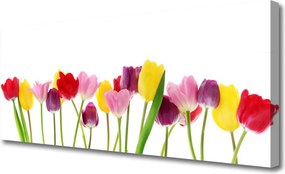 Obraz na płótnie Wiosenna Kompozycja Tulipanów