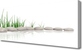 Fotoobraz na płótnie Kamienie w Zielonej Trawie