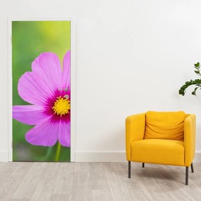 Fototapeta na drzwi - Kwiat łąki (95x205cm)