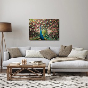 Obraz - Paw (70x50 cm)