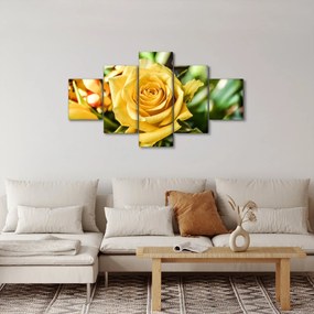 Obraz róży (125x70 cm)