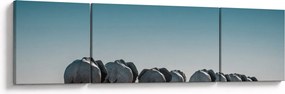 Obraz - Odejście słoni (170x50 cm)