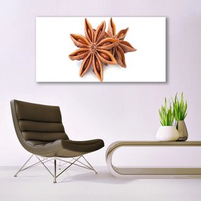 Fotoobraz na płótnie Aromat Gwieździstego Anyżu