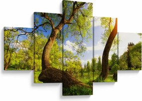 Obraz wiosennej łąki (125x70 cm)
