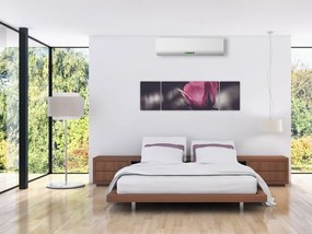 Obraz - Detal kwiatu róży (170x50 cm)
