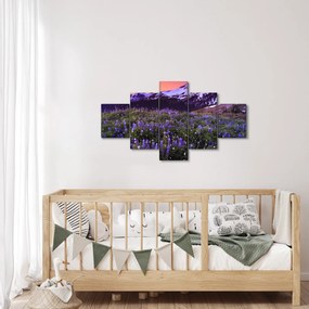 Obraz - Wulkan i kwiaty (125x70 cm)