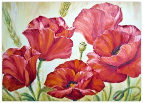 Obraz - Kwiaty maku (70x50 cm)