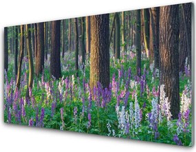 Panel Kuchenny Korony Leśnych Drzew