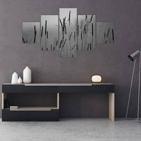 Obraz - źdźbła trawy (125x70 cm)