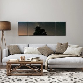 Obraz nocnego nieba z drzewami (170x50 cm)