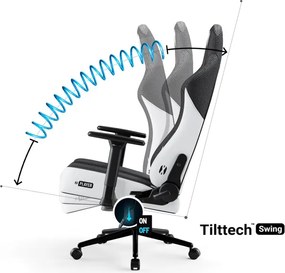 Fotel do grania dla młodzieży Diablo X-Player 2.0 Small Size, kolor biało-czarny