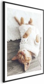 Plakat Leniwy kot 29,7x42 cm z ramą czarną z marginesem ARTGEIST B