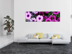 Obraz - Kwiaty (170x50 cm)