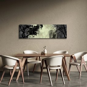 Obraz - Księżyc w pełni nad powierzchnią, wersja czarno - biała (170x50 cm)