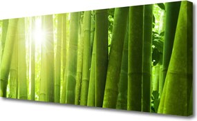 Obraz na płótnie Świeżość Zielonego Bambusa