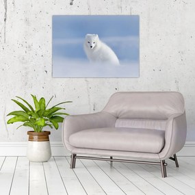 Obraz - Lis polarny (70x50 cm)