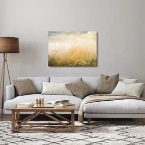Obraz - Pole jesienią (70x50 cm)