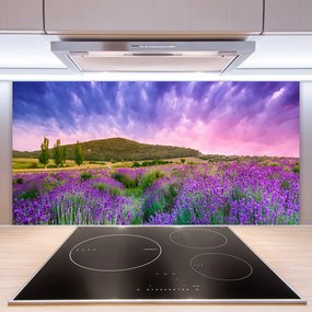 Szkło do Kuchni na Ścianę Alpejska Łąka W Kwiatach