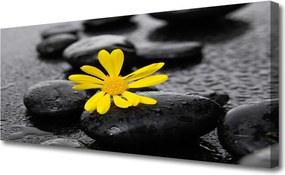 Obraz canvas Harmonia Zen: Róże i Skały