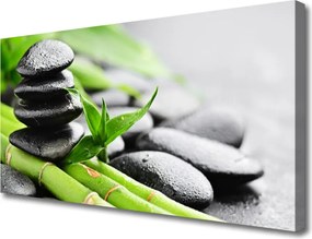 Obraz canvas na ścianę Świeżość Bambusa i Kamieni